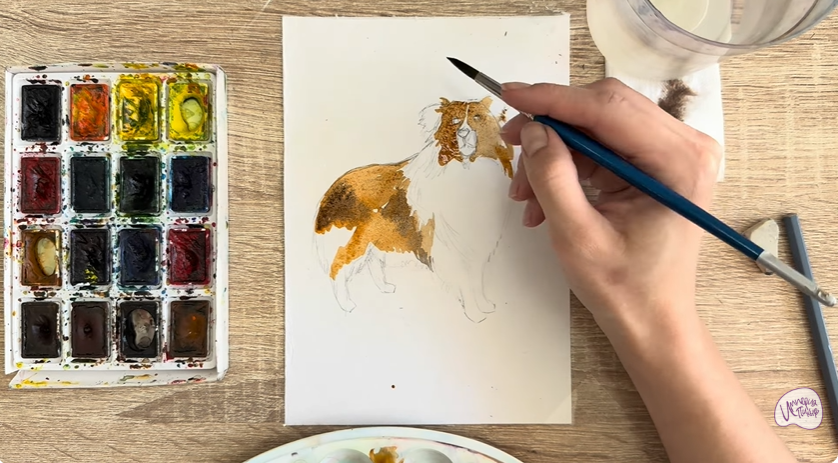 Рисуем Собака породы Шелти