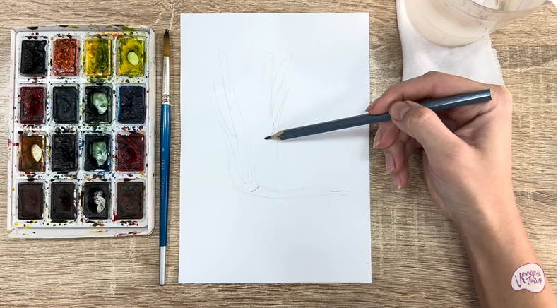 Рисуем Аир болотный