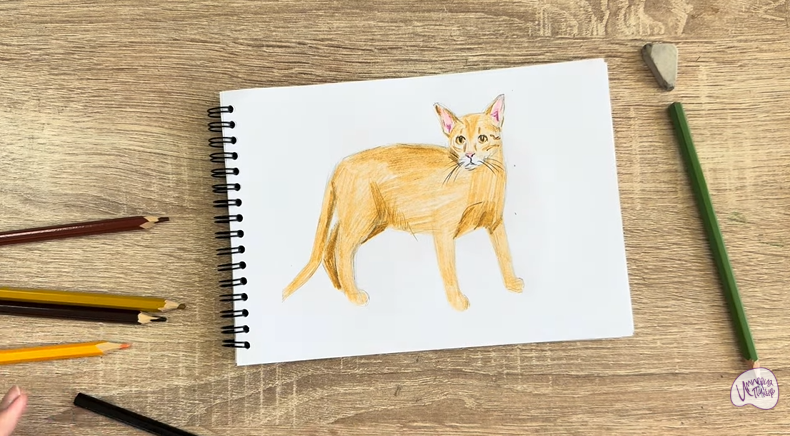 Рисуем Кот породы Оцикет