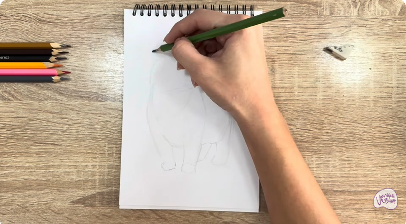 Рисуем Кошка породы "Манчкин"