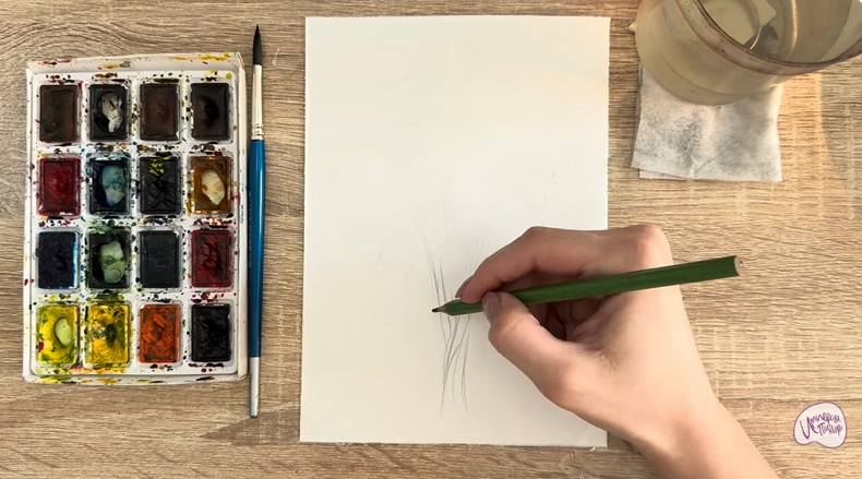 Рисуем Багрянник японский