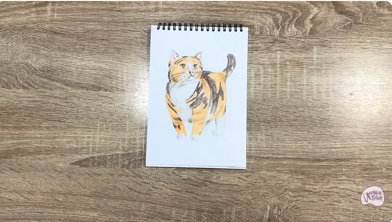 Рисуем Кошка породы "Манчкин"