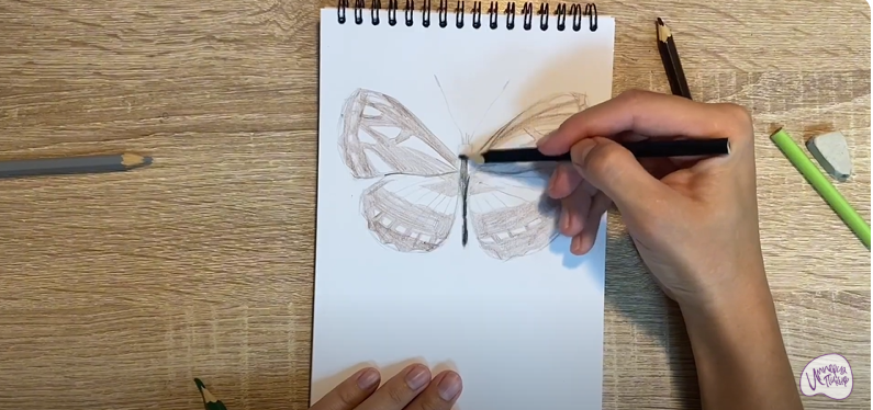 Рисуем Пеструшка Сапфо