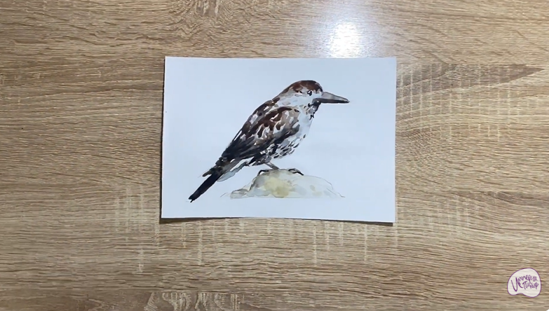 Рисуем Кедровка