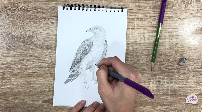 Рисуем Хохлатый осоед