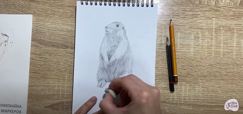 Рисуем Суслик