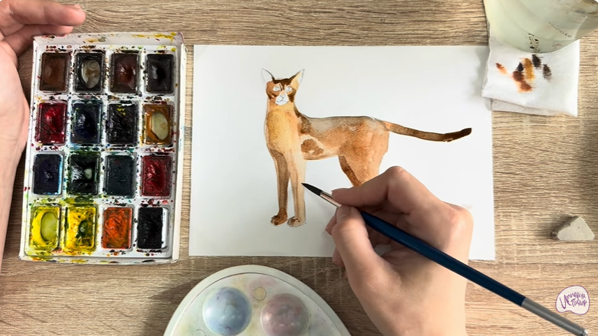 Рисуем Кошка "Чаузи"