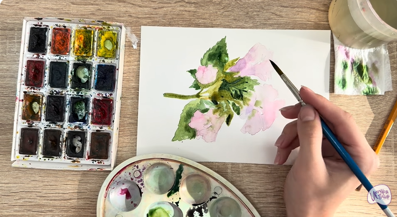 Рисуем Алтей лекарственный