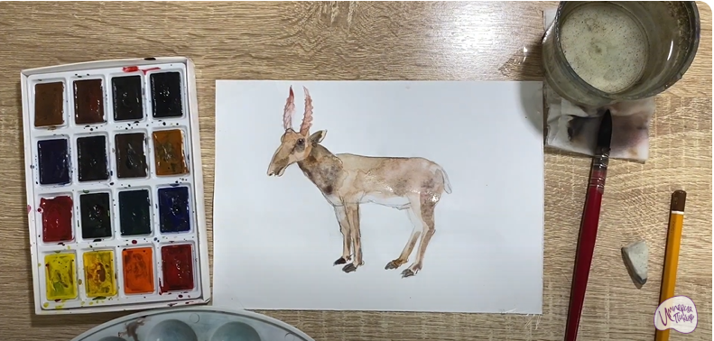 Рисуем Сайгак