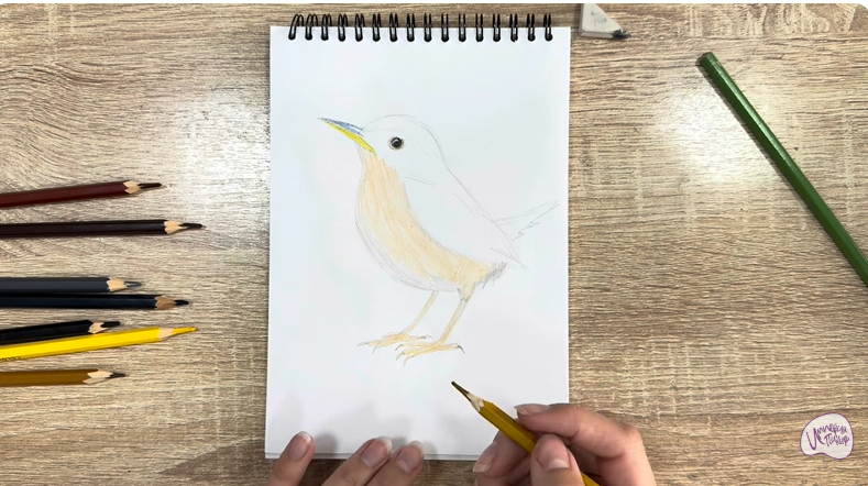 Рисуем Крапивник