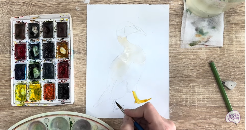 Рисуем Обыкновенная гага