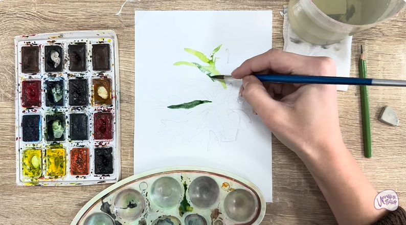 Рисуем Платицериум в горшке