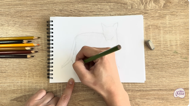 Рисуем Кот породы Оцикет