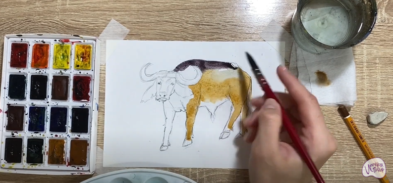 Рисуем Буйвол
