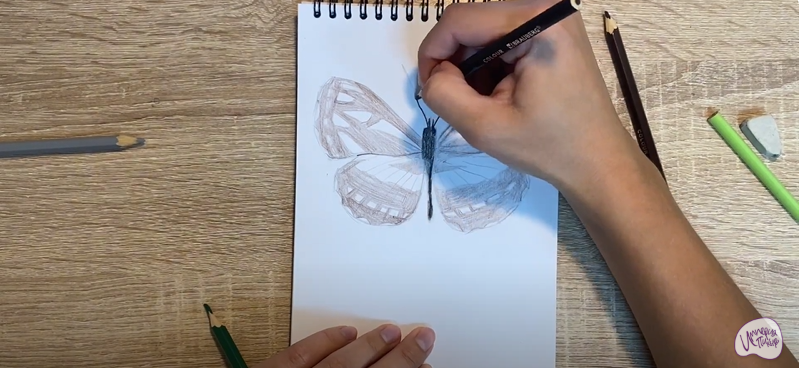 Рисуем Пеструшка Сапфо