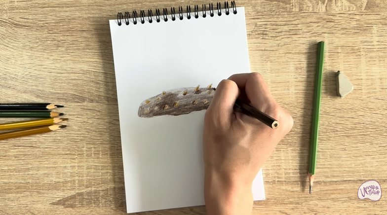 Рисуем Голотурия