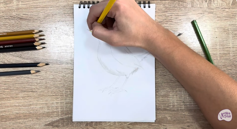 Рисуем Крапивник