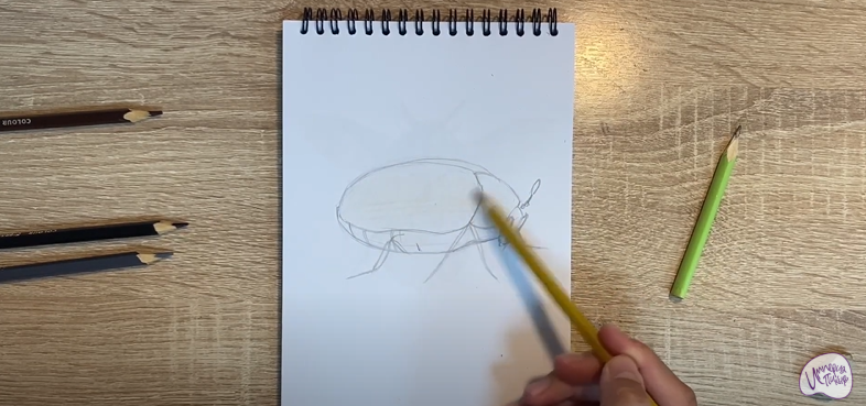 Рисуем Кожеед