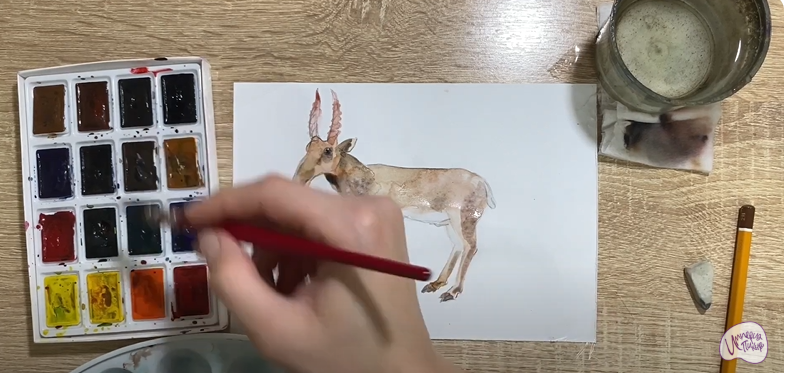 Рисуем Сайгак