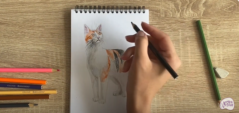 Рисуем Кот породы "японский бобтейл"