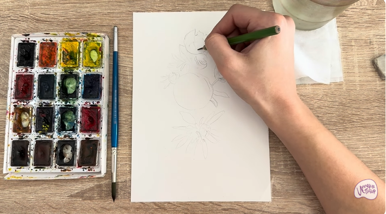 Рисуем Лапчатка