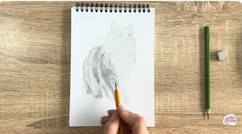 Рисуем Норвежский лесной кот