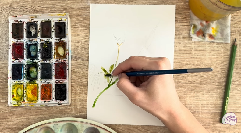 Рисуем Аморфа