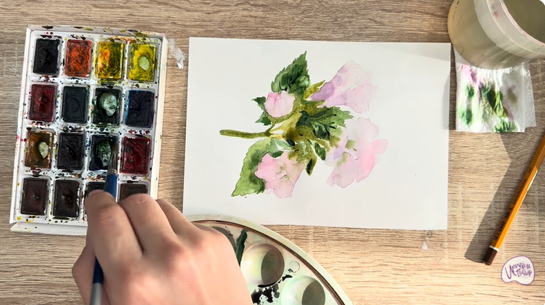 Рисуем Алтей лекарственный