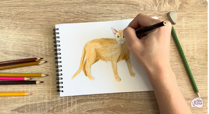 Рисуем Кот породы Оцикет