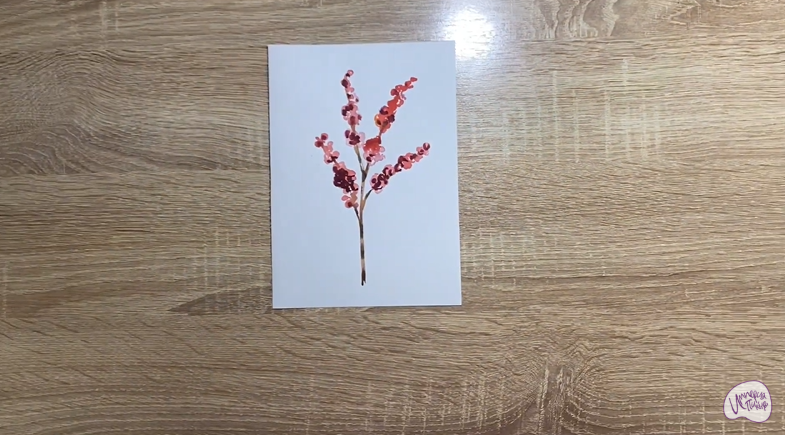 Рисуем Цветок "Илекс"