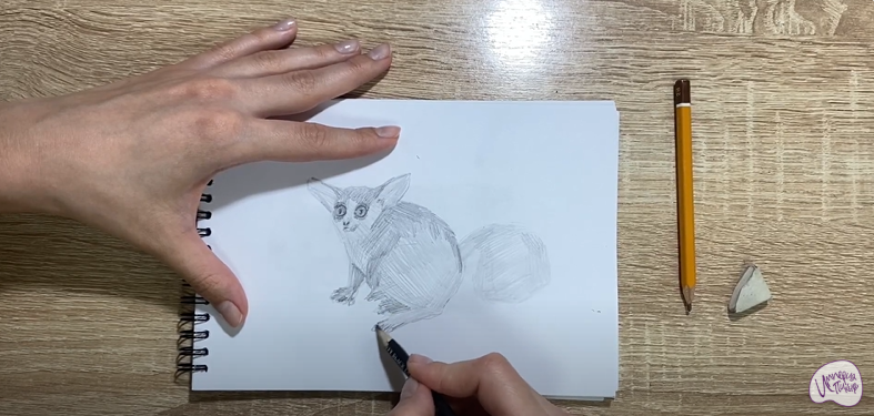 Рисуем Галаго