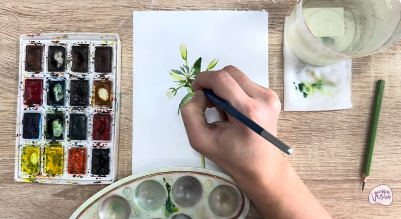 Рисуем Ясколка длинноволосая