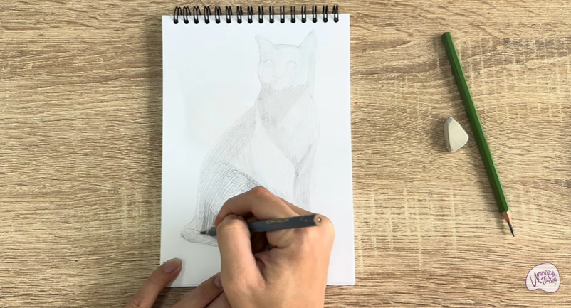 Рисуем Бурманский кот