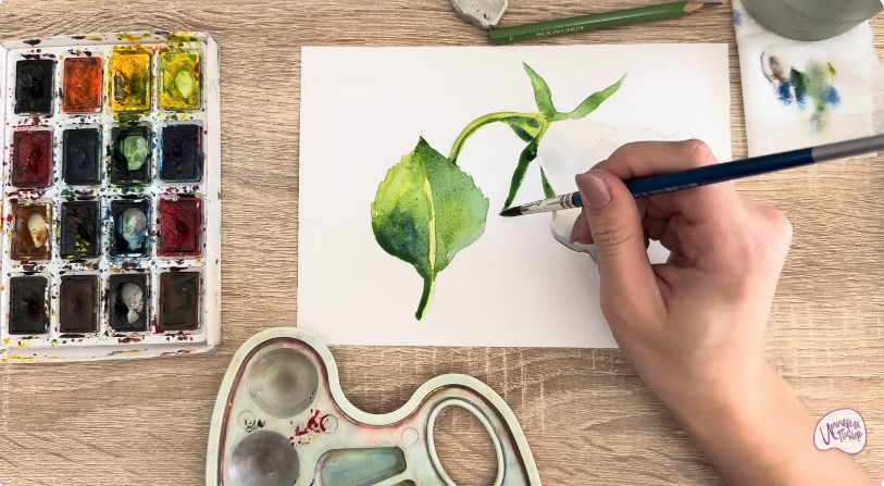 Рисуем Дурман