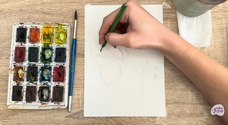 Рисуем Бугенвиллея