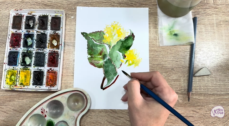 Рисуем Диервилла