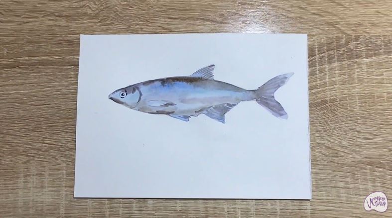 Рисуем Верховодка
