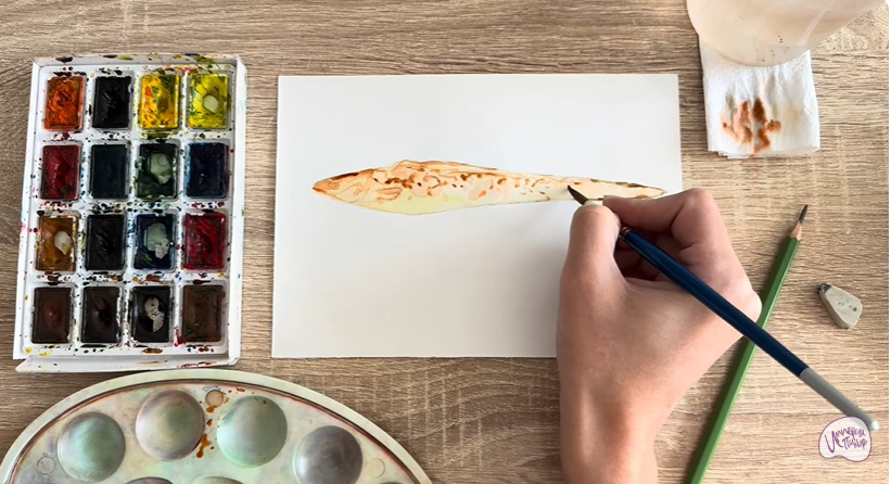 Рисуем Конгрио