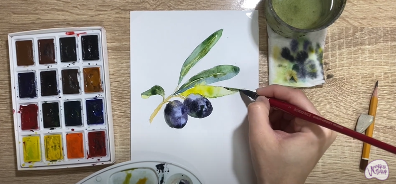 Рисуем Маслины