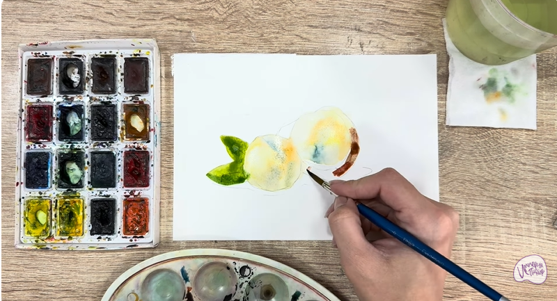 Рисуем Макадамия