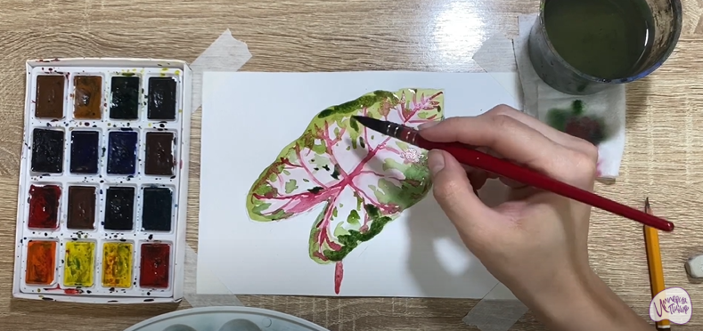 Рисуем Лист каладиума