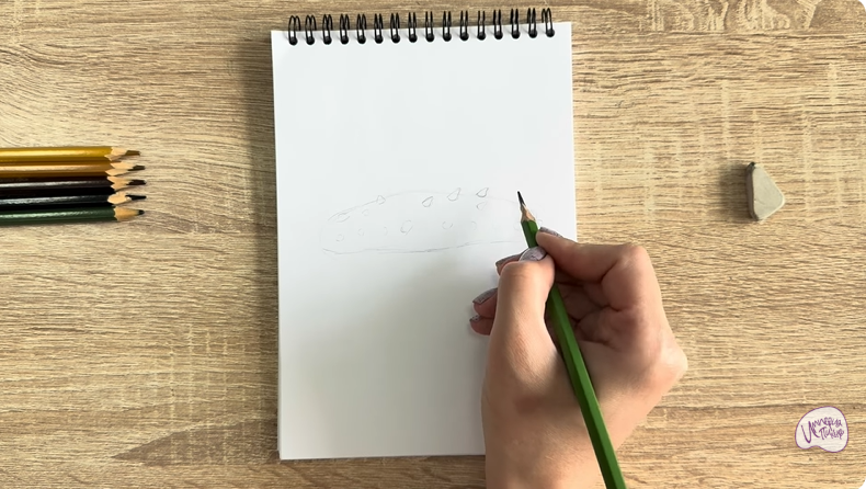 Рисуем Голотурия