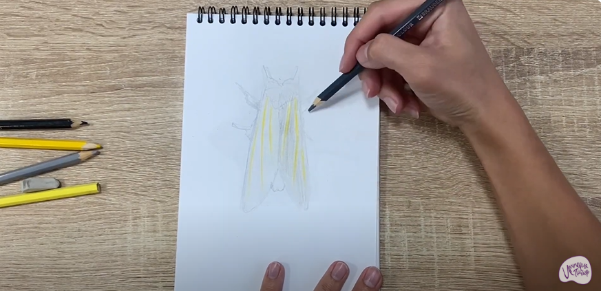 Рисуем Хохлатка
