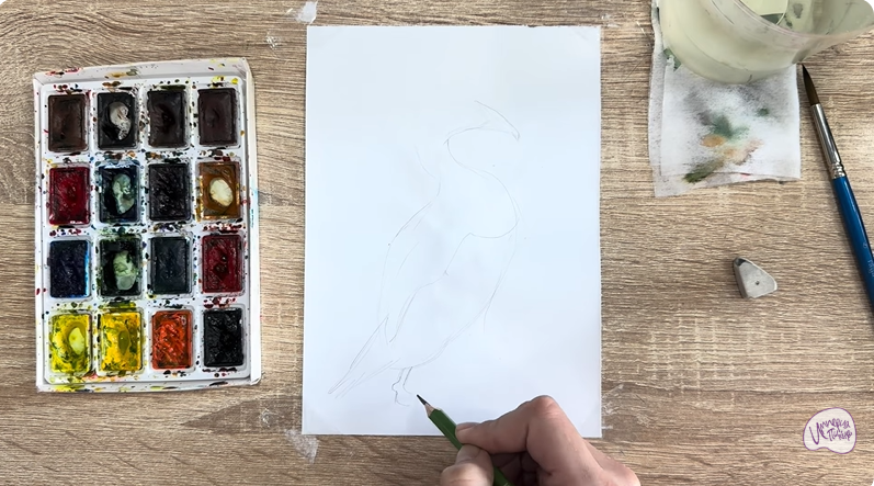 Рисуем Обыкновенная гага