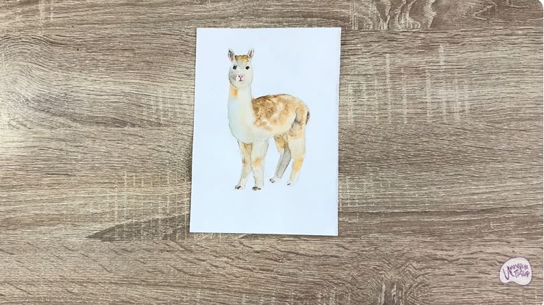 Рисуем Альпака