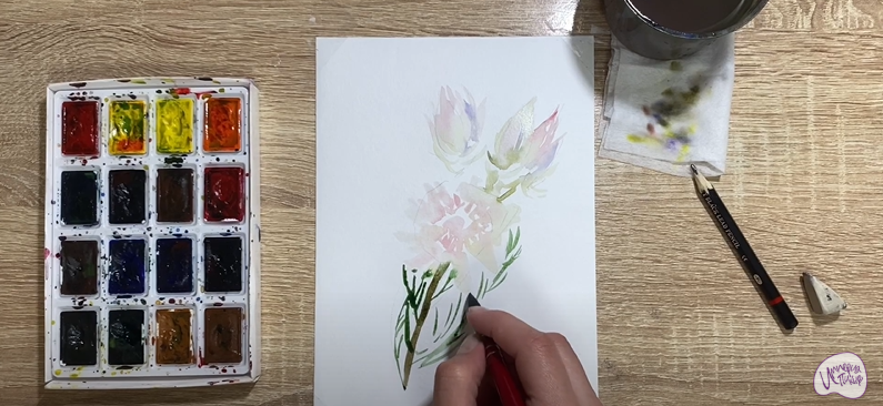 Рисуем Цветок "Серрурия"