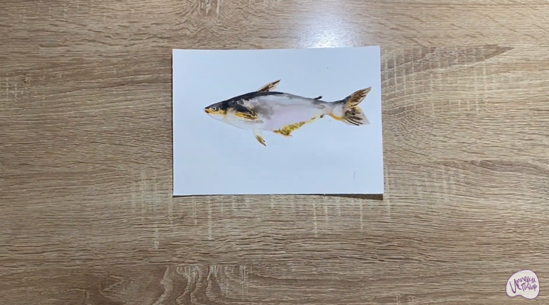 Рисуем Пангасиус