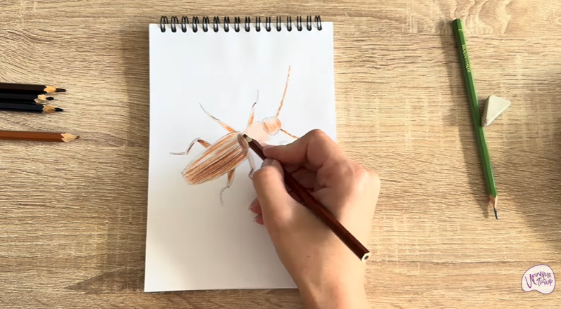 Рисуем Мукоед