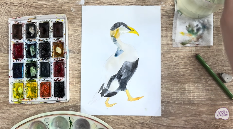 Рисуем Обыкновенная гага