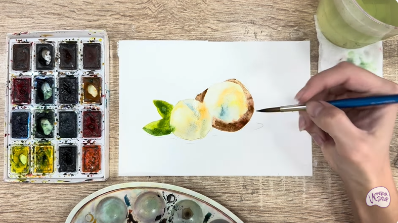 Рисуем Макадамия